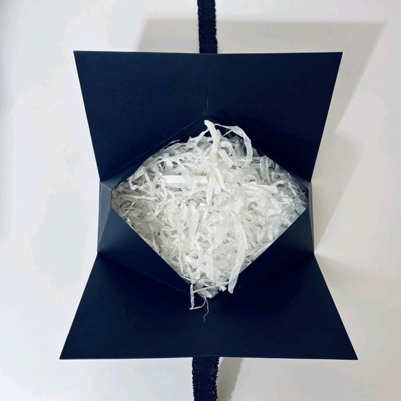 2025 VIP Client Gifting Bag Midnight Navy Constellation Lion BOX FRESH - Picture 10 of 10